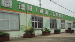 蔬菜种植培育基地五