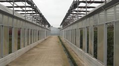 蔬菜种植培育基地十六